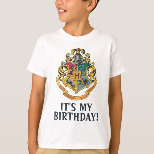 Harry Potter  Hogwarts _ Its My Birthday T_Shirt