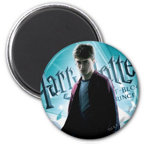 Harry Potter HPE6 2 Magnet