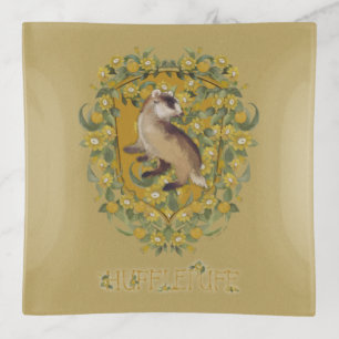 HARRY POTTER™   HUFFLEPUFF™ Crest Trinket Tray