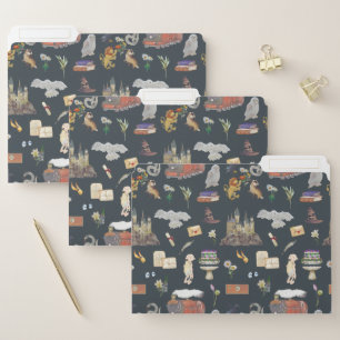 HARRY POTTER™   Icons Pattern File Folder