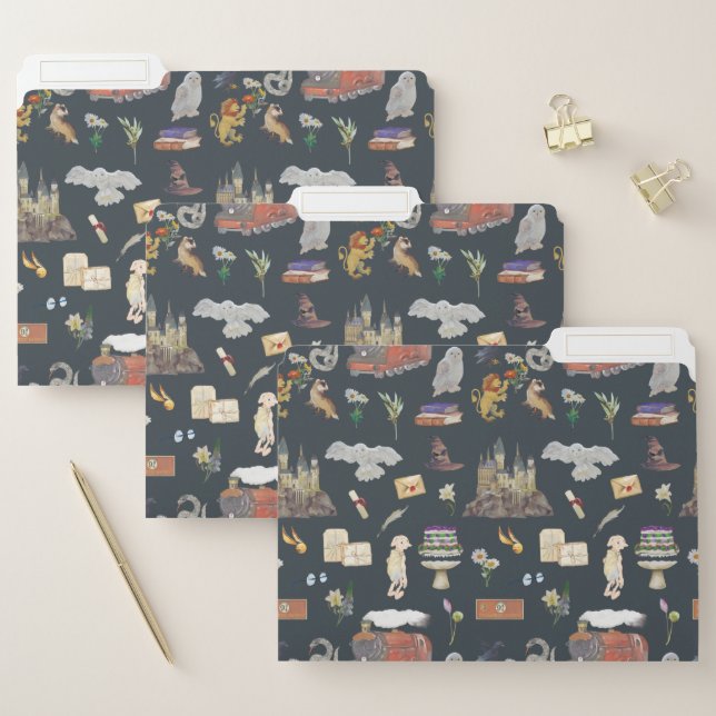 HARRY POTTER™ | Icons Pattern File Folder (Set)
