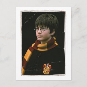 Harry Potter Magical Adventure Postcard