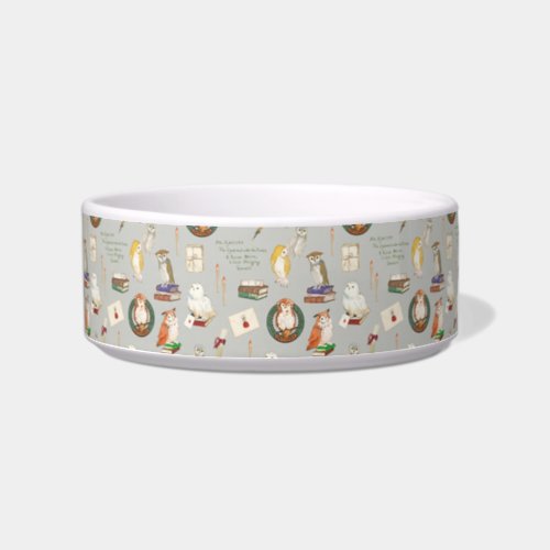 HARRY POTTER  Owl Letter Pattern Bowl