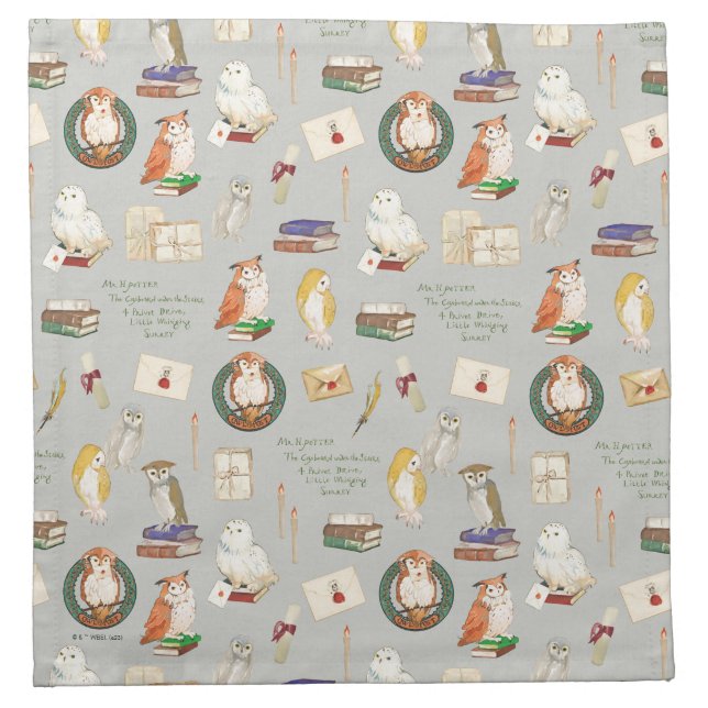 HARRY POTTER™ | Owl Letter Pattern Cloth Napkin (Front)