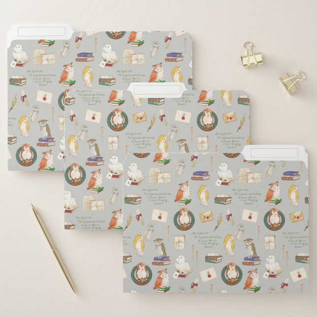 HARRY POTTER™ | Owl Letter Pattern File Folder (Set)