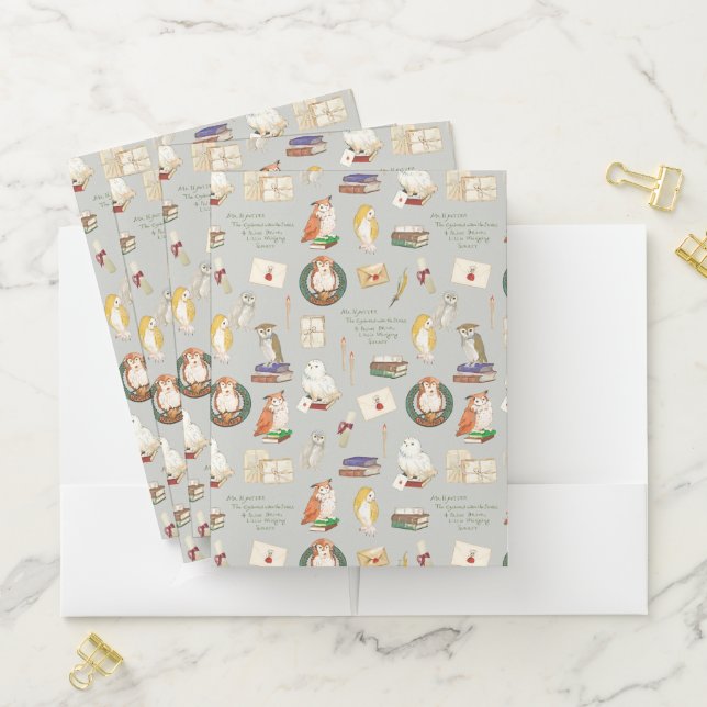 HARRY POTTER™ | Owl Letter Pattern Pocket Folder (In Situ)