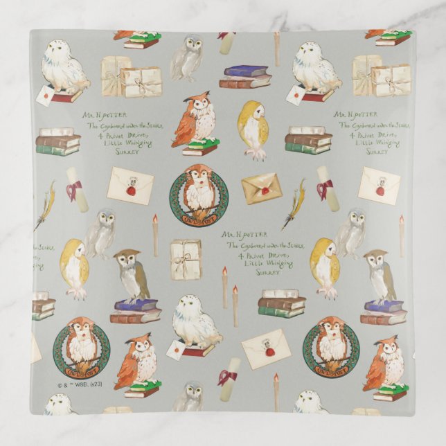 HARRY POTTER™ | Owl Letter Pattern Trinket Tray (Front)