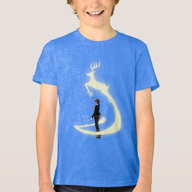 HARRY POTTER™ Patronus Painting Tri-Blend Shirt (Front)