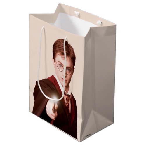 Harry Potter Points Wand Medium Gift Bag