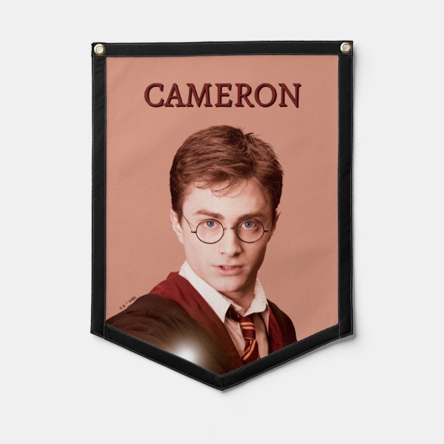 Harry Potter Points Wand Pennant (Front)