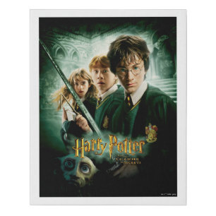 Harry Potter Ron Hermione Dobby Group Shot Faux Canvas Print