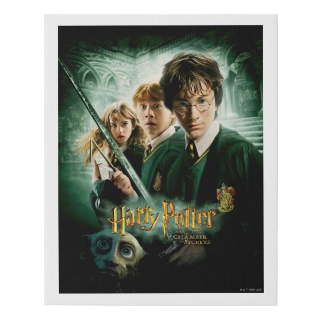 Harry Potter Ron Hermione Dobby Group Shot Faux Canvas Print (Front)