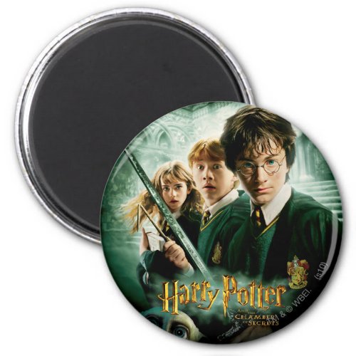 Harry Potter Ron Hermione Dobby Group Shot Magnet