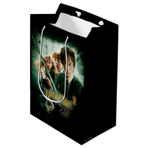 Harry Potter Ron Hermione Dobby Group Shot Medium Gift Bag