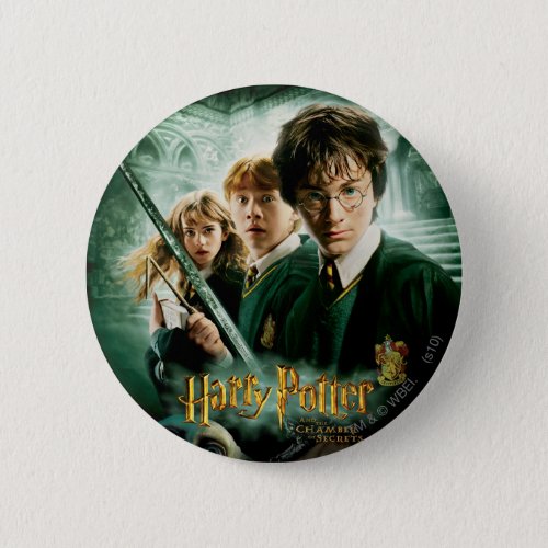 Harry Potter Ron Hermione Dobby Group Shot Pinback Button