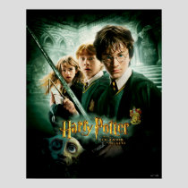 Harry Potter Ron Hermione Dobby Group Shot Poster
