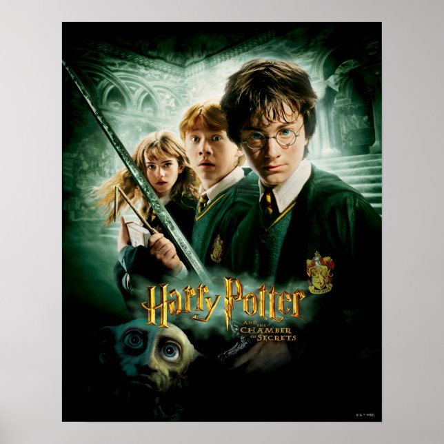 Harry Potter Ron Hermione Dobby Group Shot Poster (Front)