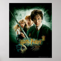 Harry Potter Ron Hermione Dobby Group Shot Poster