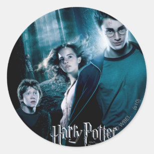 Stickers Muraux Harry Potter Trio Ron Hermione Poudlard Art Pour