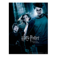 Harry Potter Ron Hermione In Forest Postcard