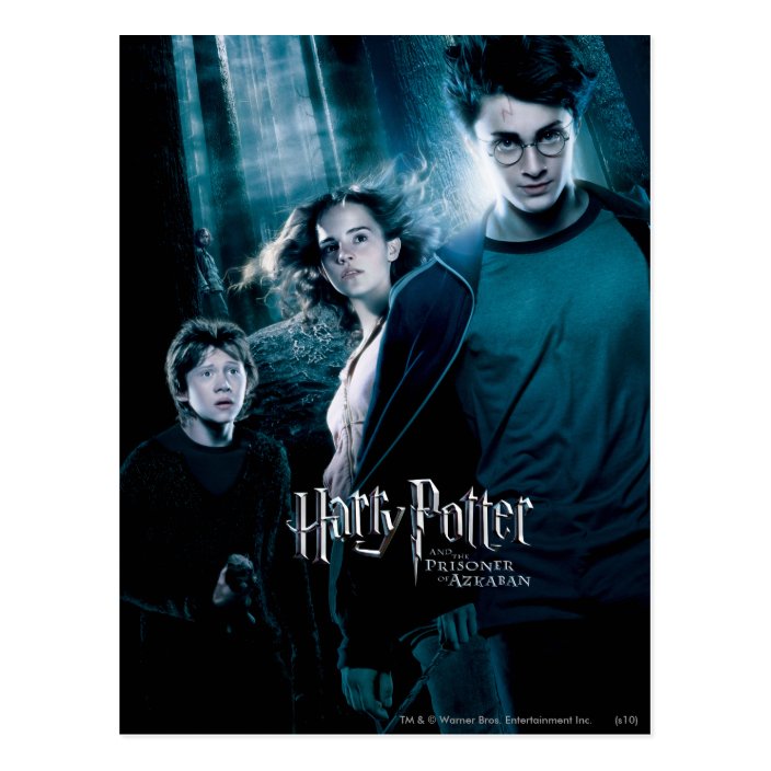 Harry and hermione image