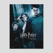 Harry Potter Ron Hermione In Forest Postcard