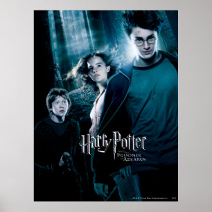Harry Potter Ron Hermione In Forest Poster