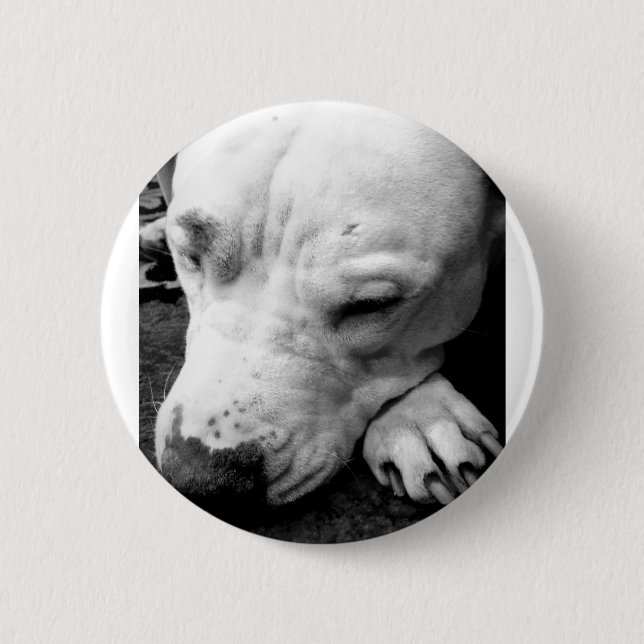 harry potter scar dog white pit bull button (Front)