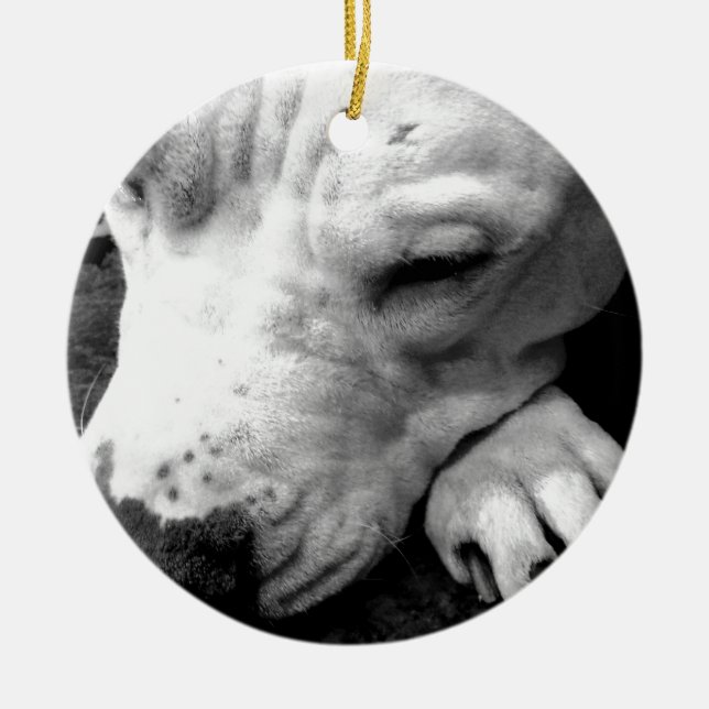 harry potter scar dog white pit bull ceramic ornament (Front)