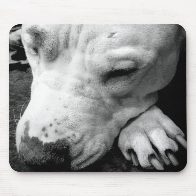 harry potter scar dog white pit bull mouse pad (Front)