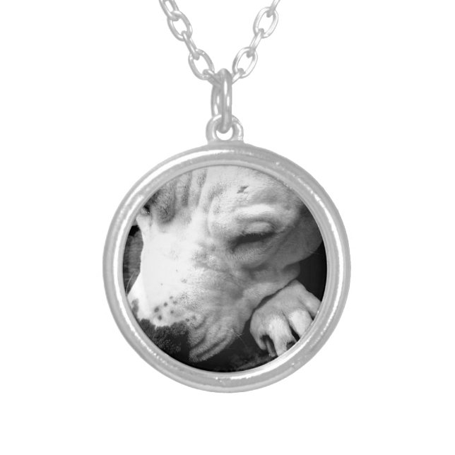 harry potter scar dog white pit bull silver plated necklace (Front)