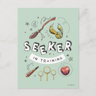 HARRY POTTER™   Seeker in Training Postcard