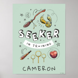 HARRY POTTER™   Seeker in Training Poster