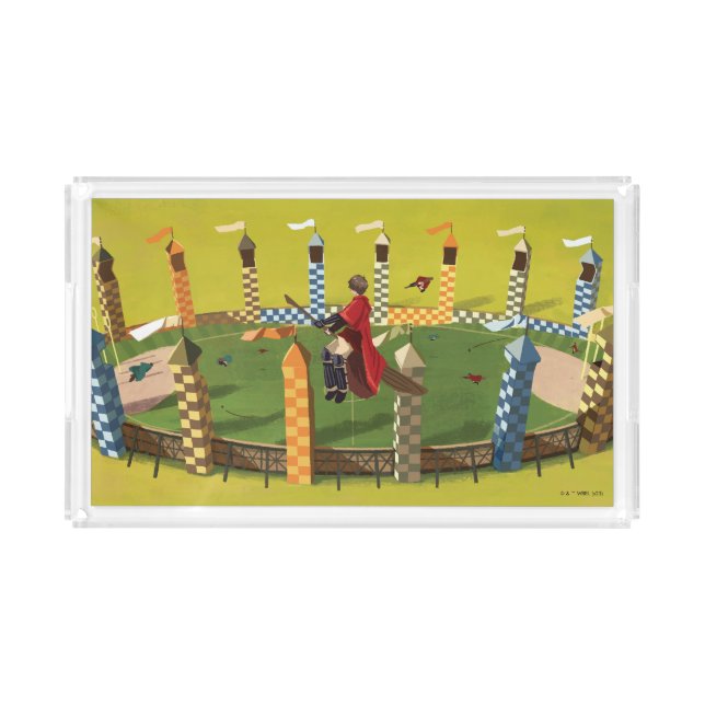 HARRY POTTER™ Seeking the Golden Snitch Acrylic Tray (Front)