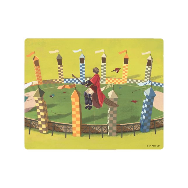 HARRY POTTER™ Seeking the Golden Snitch Metal Print (Front)