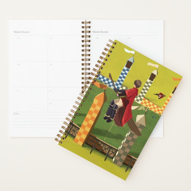 HARRY POTTER™ Seeking the Golden Snitch Planner (Display)