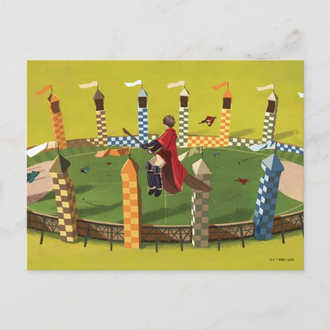 HARRY POTTER™ Seeking the Golden Snitch Postcard (Front)