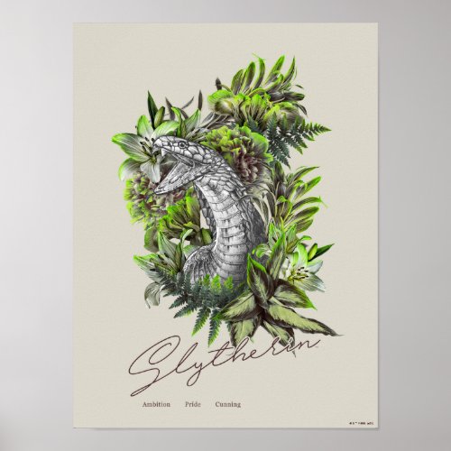 HARRY POTTER SLYTHERIN  Floral Graphic Poster
