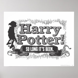 Harry Potter! So Long it's Been Poster