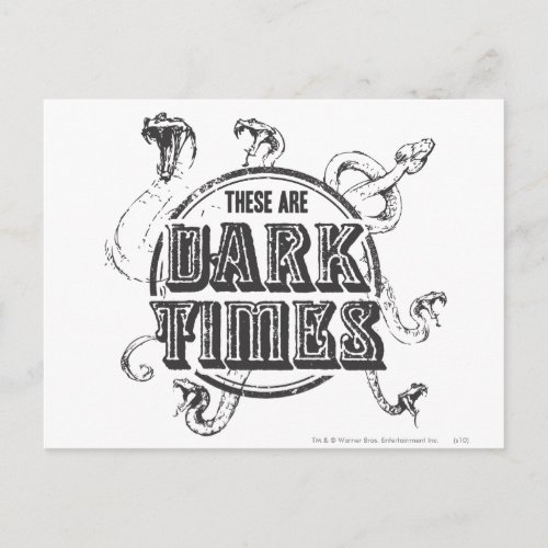 Harry Potter Spell  Dark Times Postcard