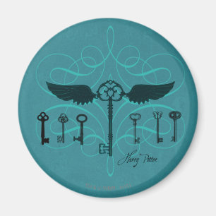 Harry Potter Spell Flying Keys Magnet