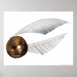 Harry Potter Spell   Golden Snitch Poster