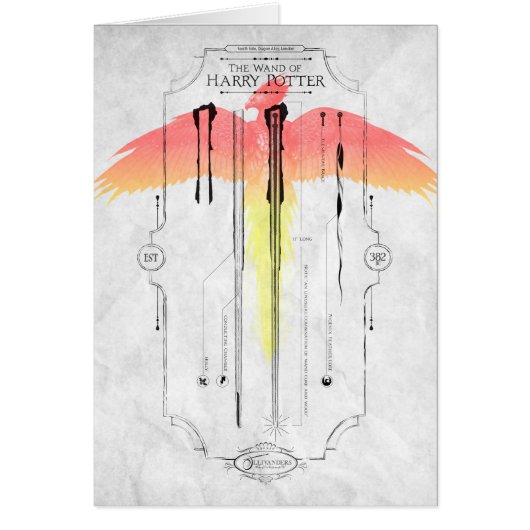 Harry Potter Spell | Harry's Wand Infographic Cards (Front)