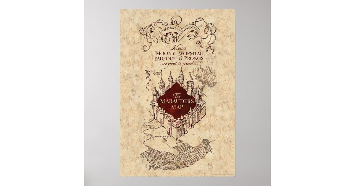 Poster Harry Potter - Spells And Charms | Wall Art, Gifts & Merchandise 