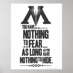 Harry Potter Spell Ministry of Magic Propaganda Poster