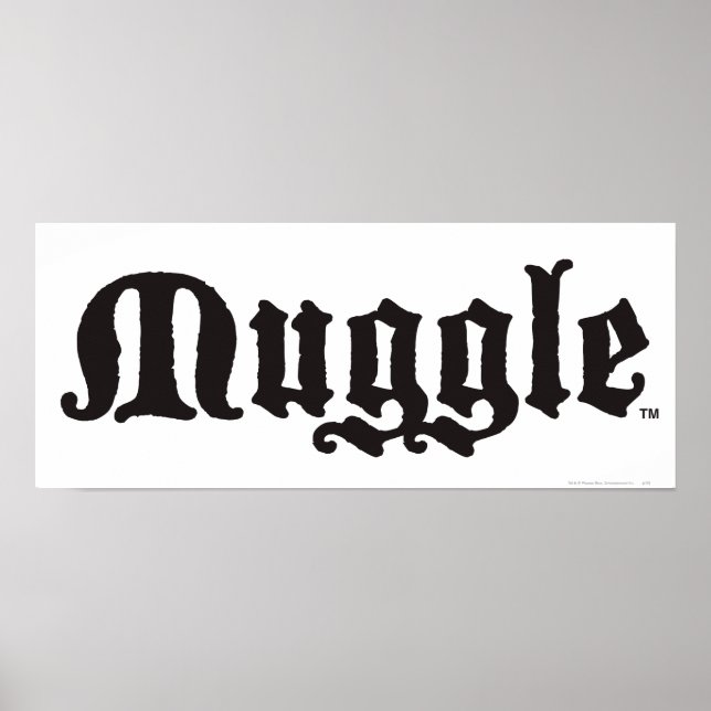 Harry Potter Spell | Muggle Poster (Front)