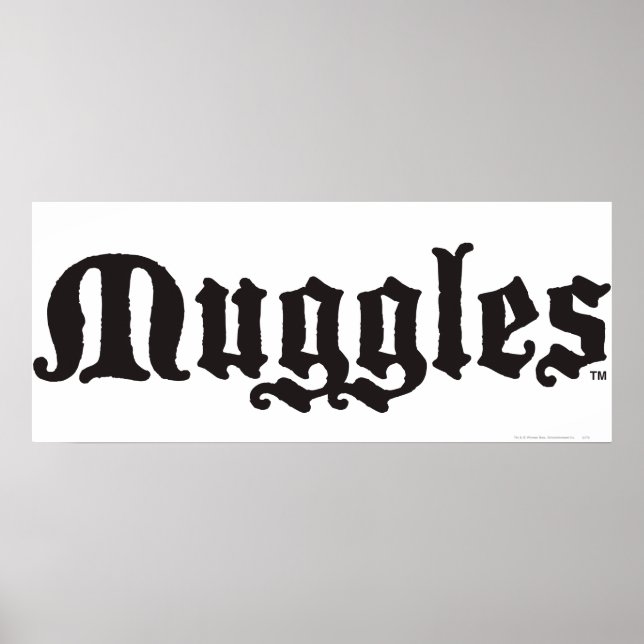 Harry Potter Spell | Muggles Poster (Front)