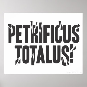 Harry Potter Spell   Petrificus Totalus! Poster
