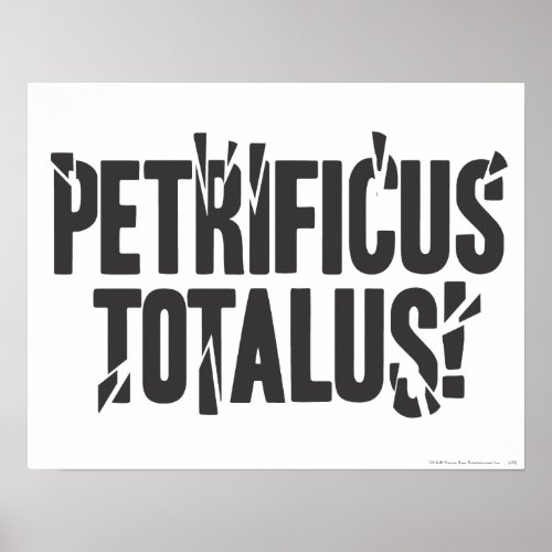 Harry Potter Spell  Petrificus Totalus Poster