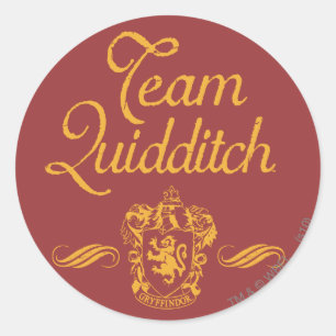 Harry Potter Team QUIDDITCH™ Classic Round Sticker